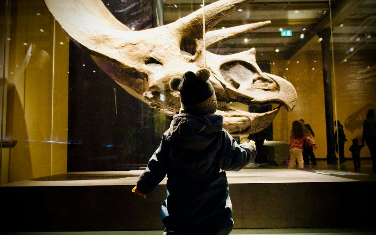 博物館の展示を見上げる子ども(イメージ)