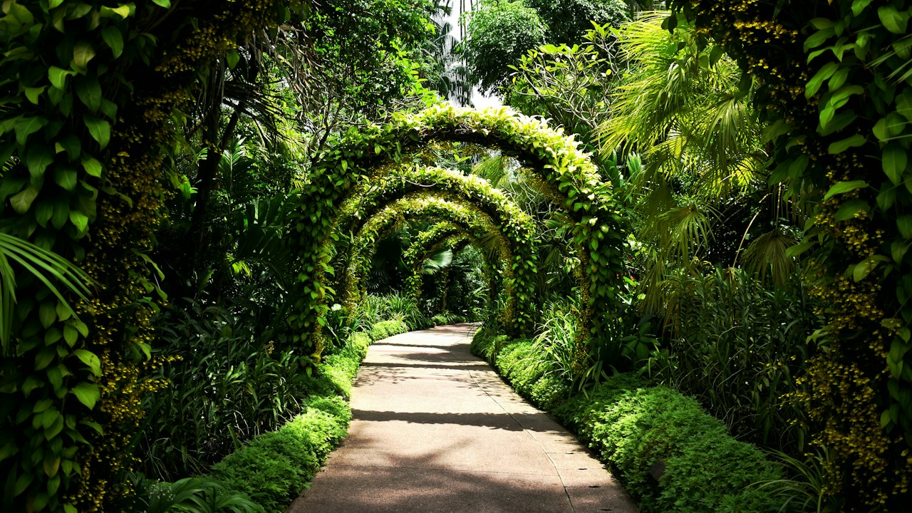 シンガポール植物園(イメージ)