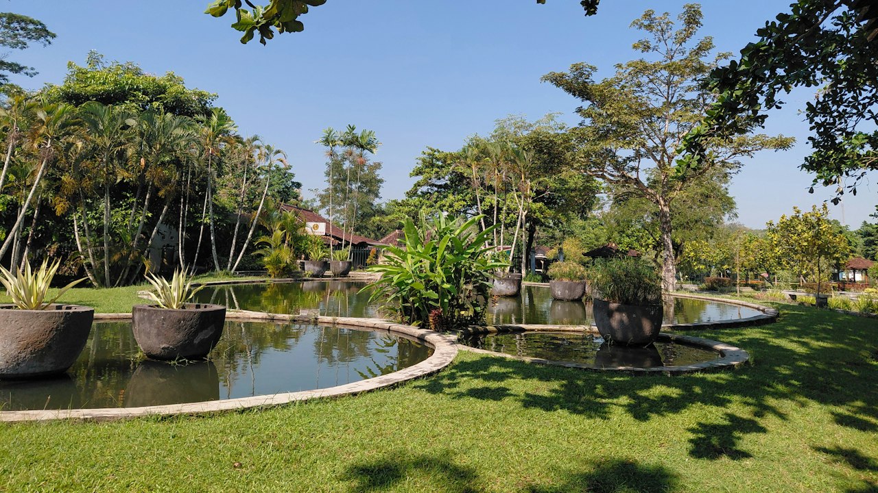 池のある緑の庭園(イメージ)